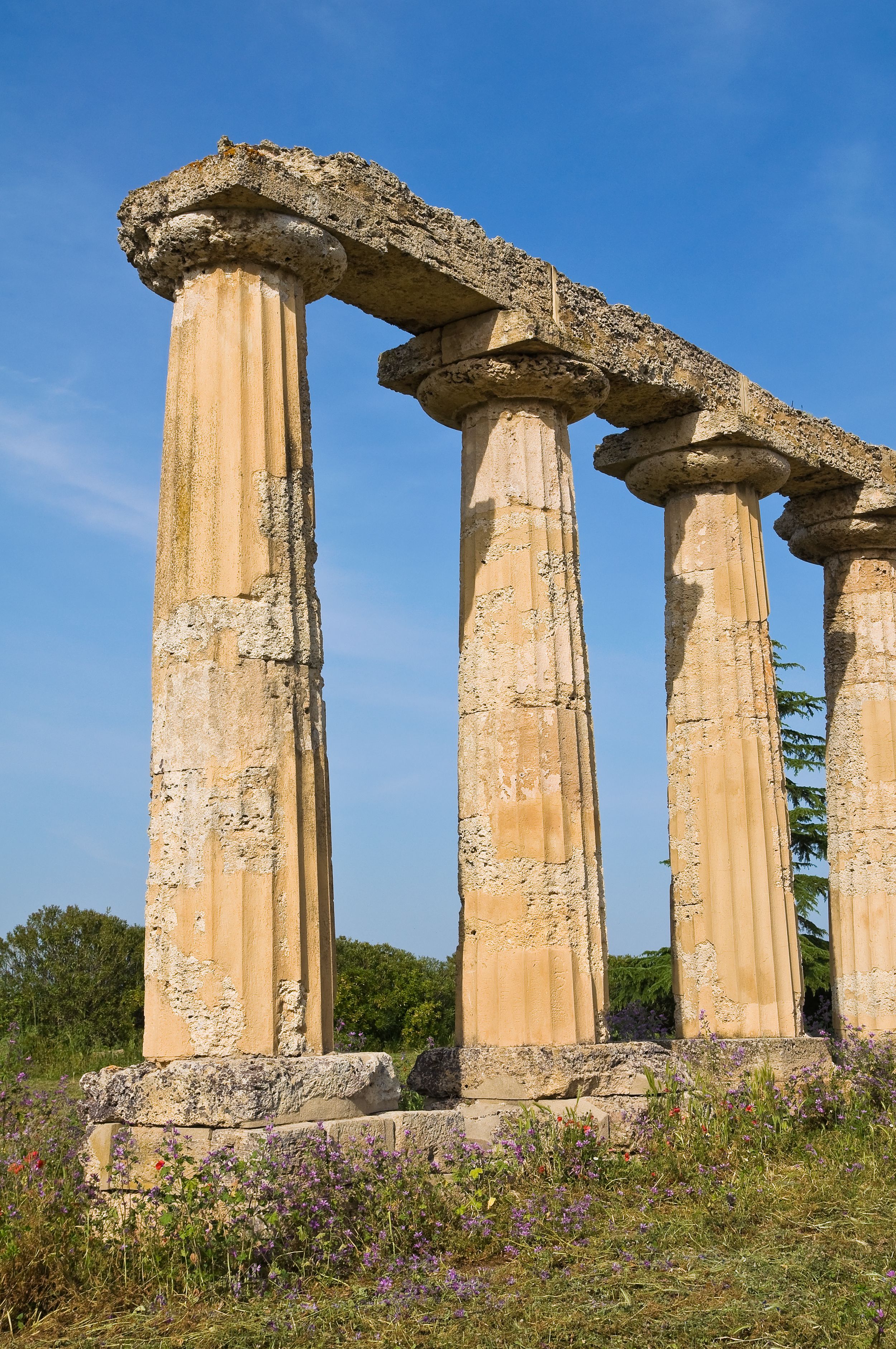resti romani a metaponto