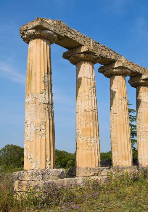 resti romani a metaponto