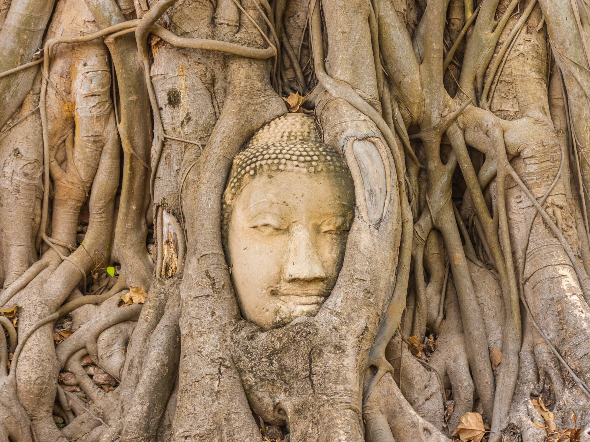 Tour della splendida Thailandia cover