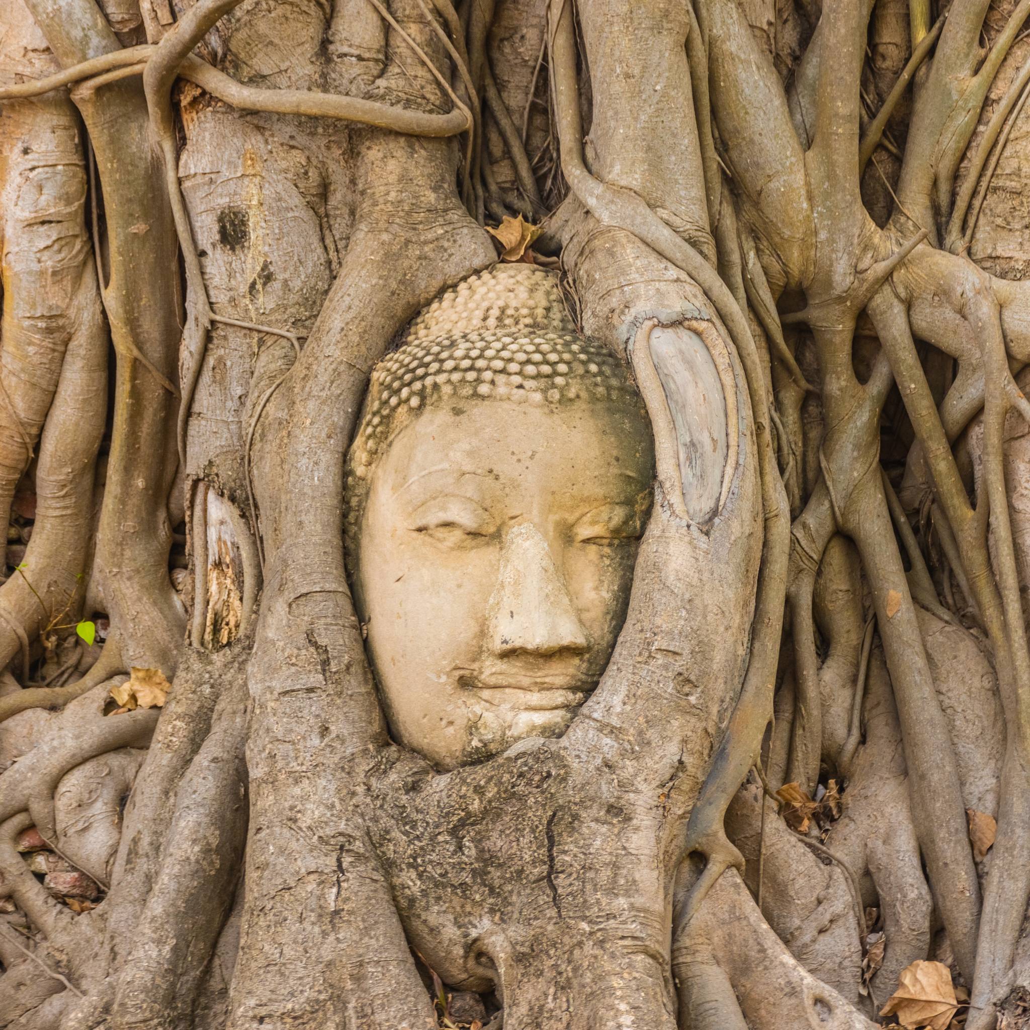 Tour della splendida Thailandia