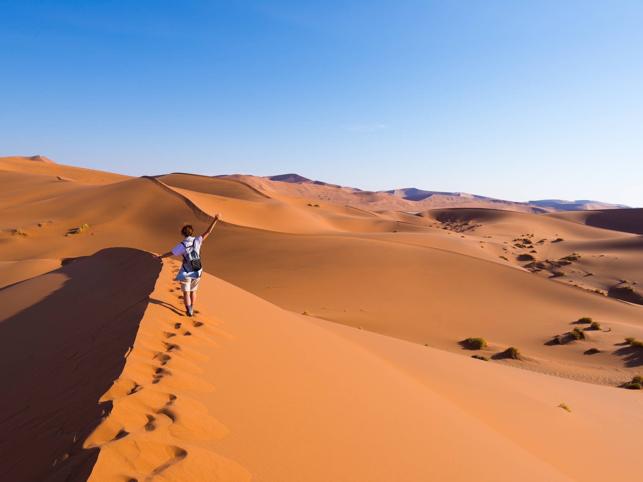 Tour del Sultanato di Oman cover