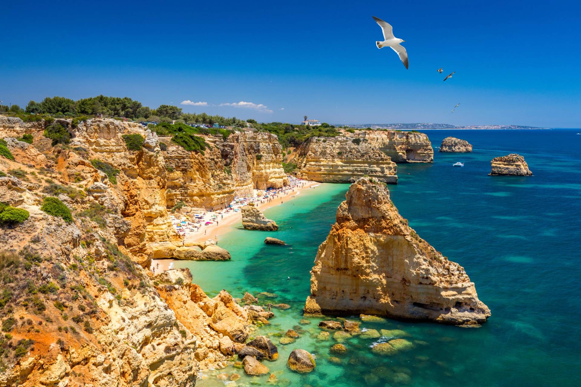 algarve