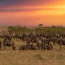 Alla scoperta della Tanzania