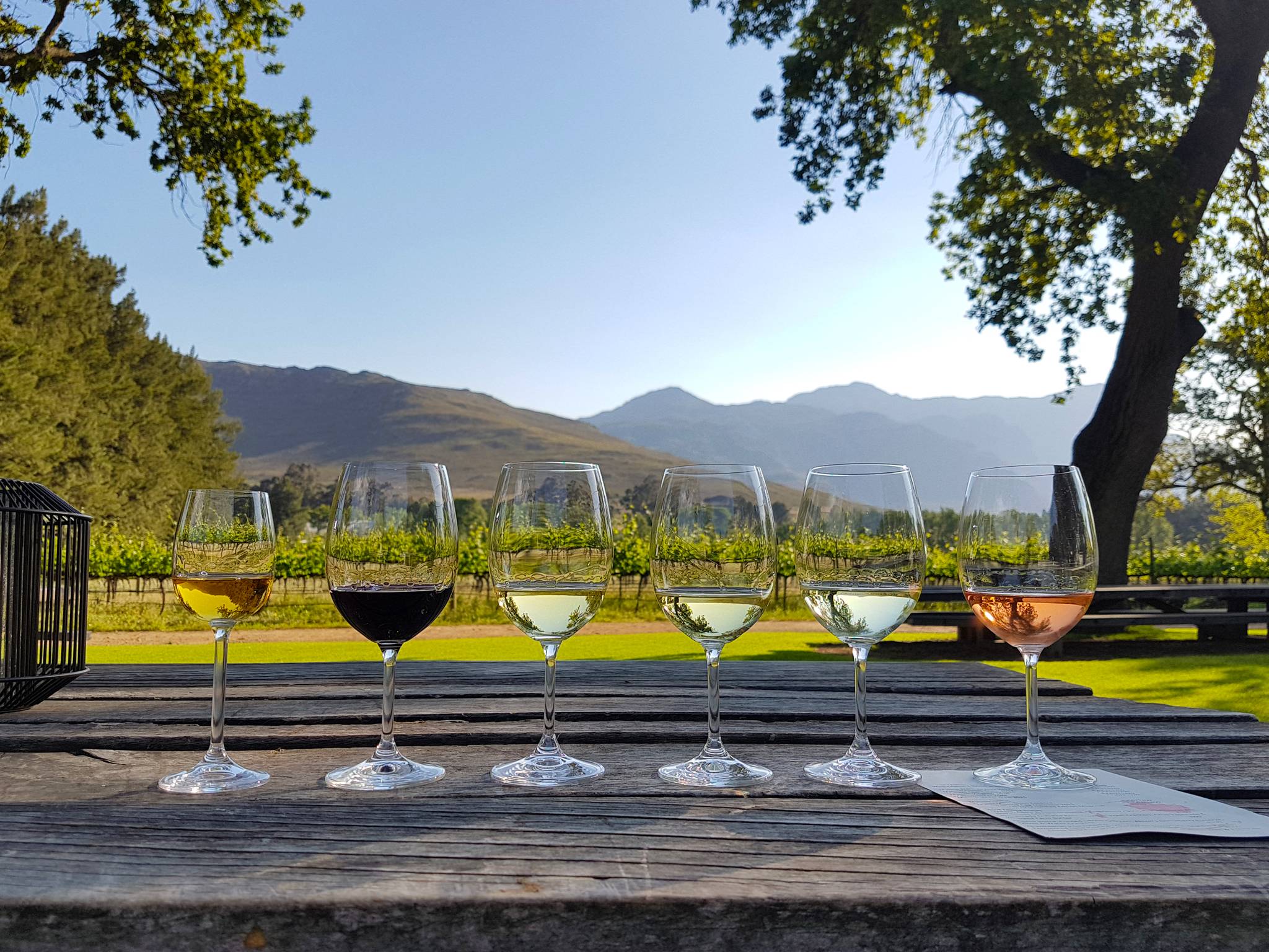degustazione vino a stellenbosch