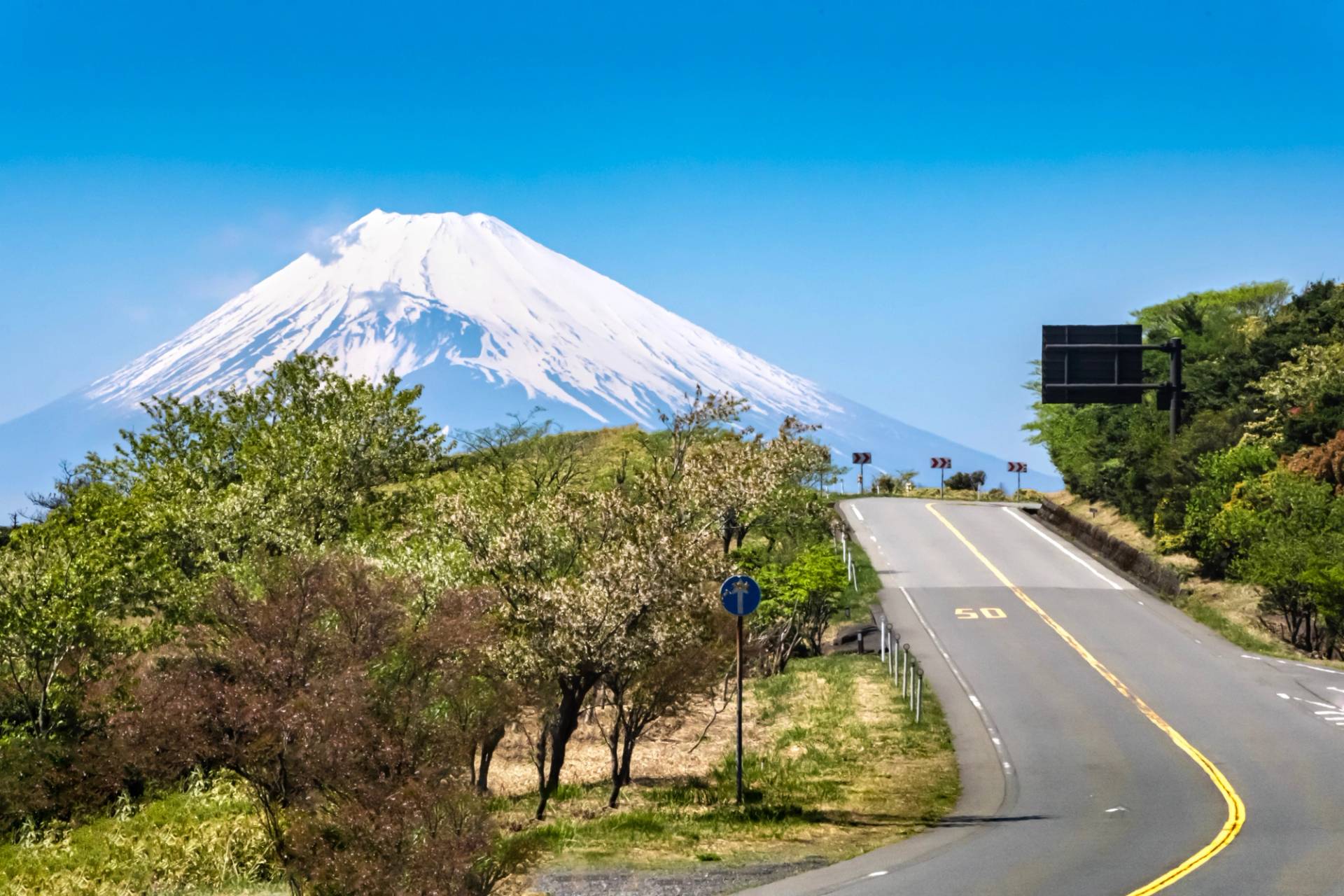 Mount Fuji