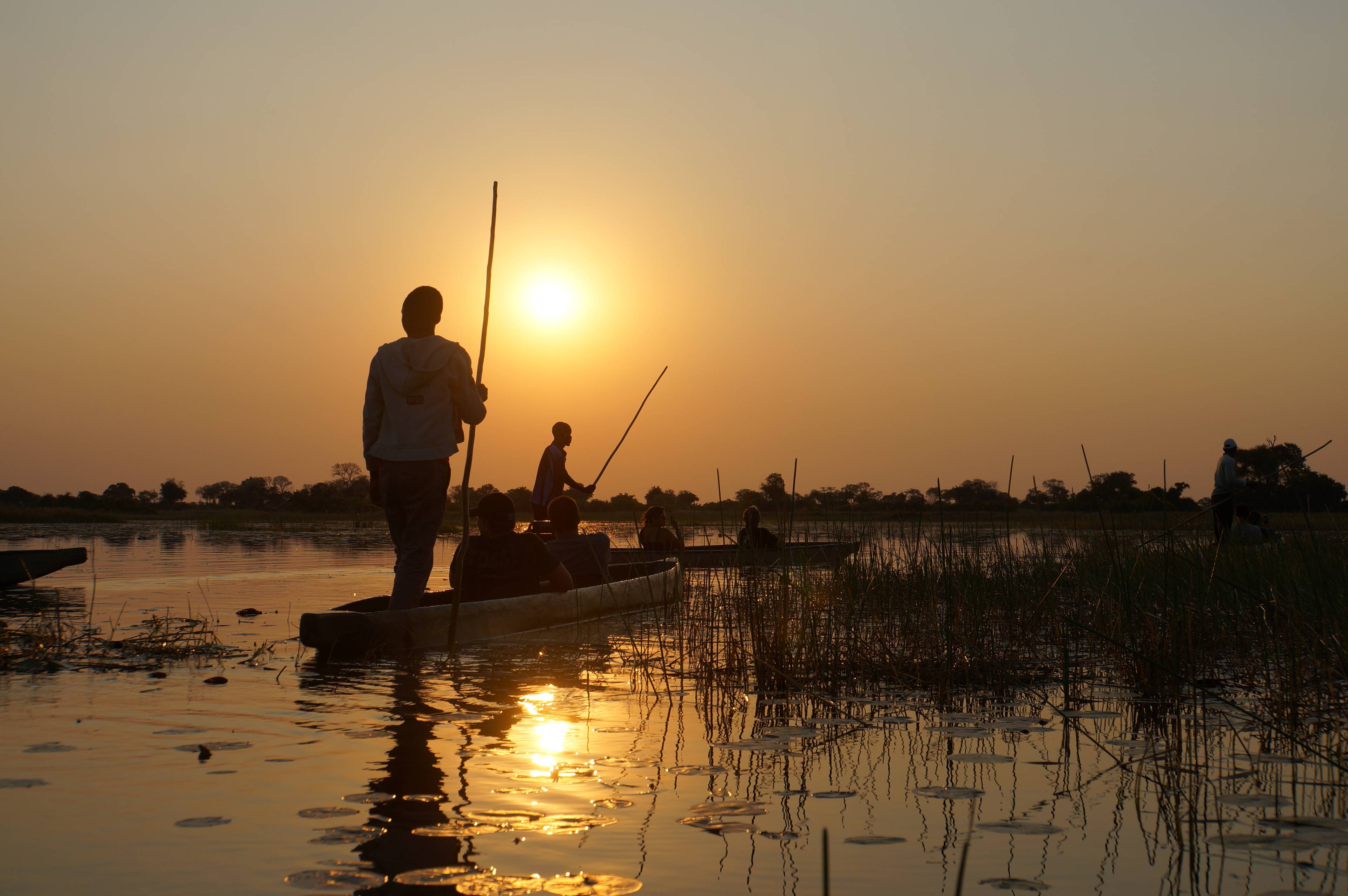 escursione in barca sull okavango al tramonto