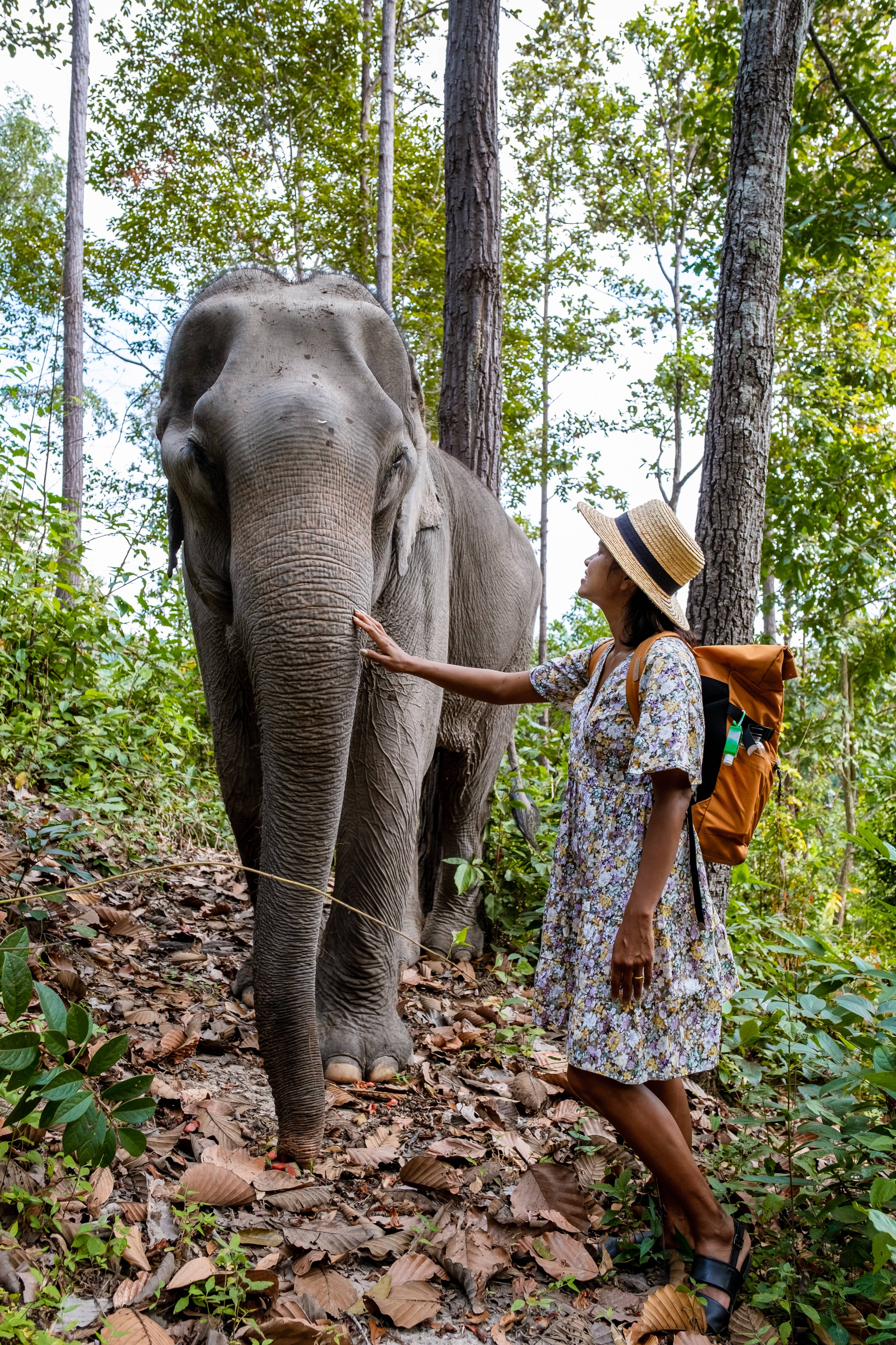 turista con un elefante