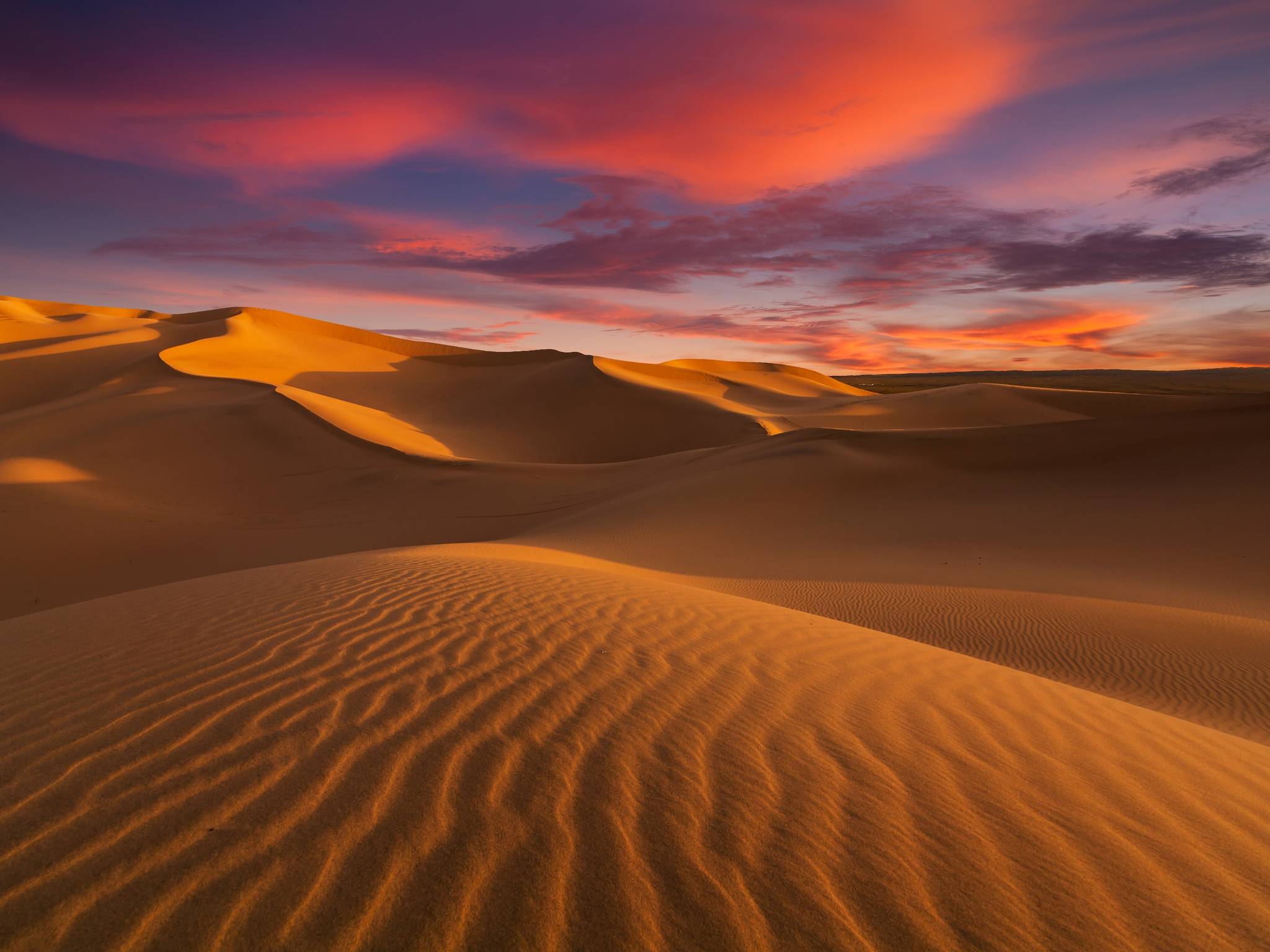 La magia dei palmeti e del deserto in Marocco cover