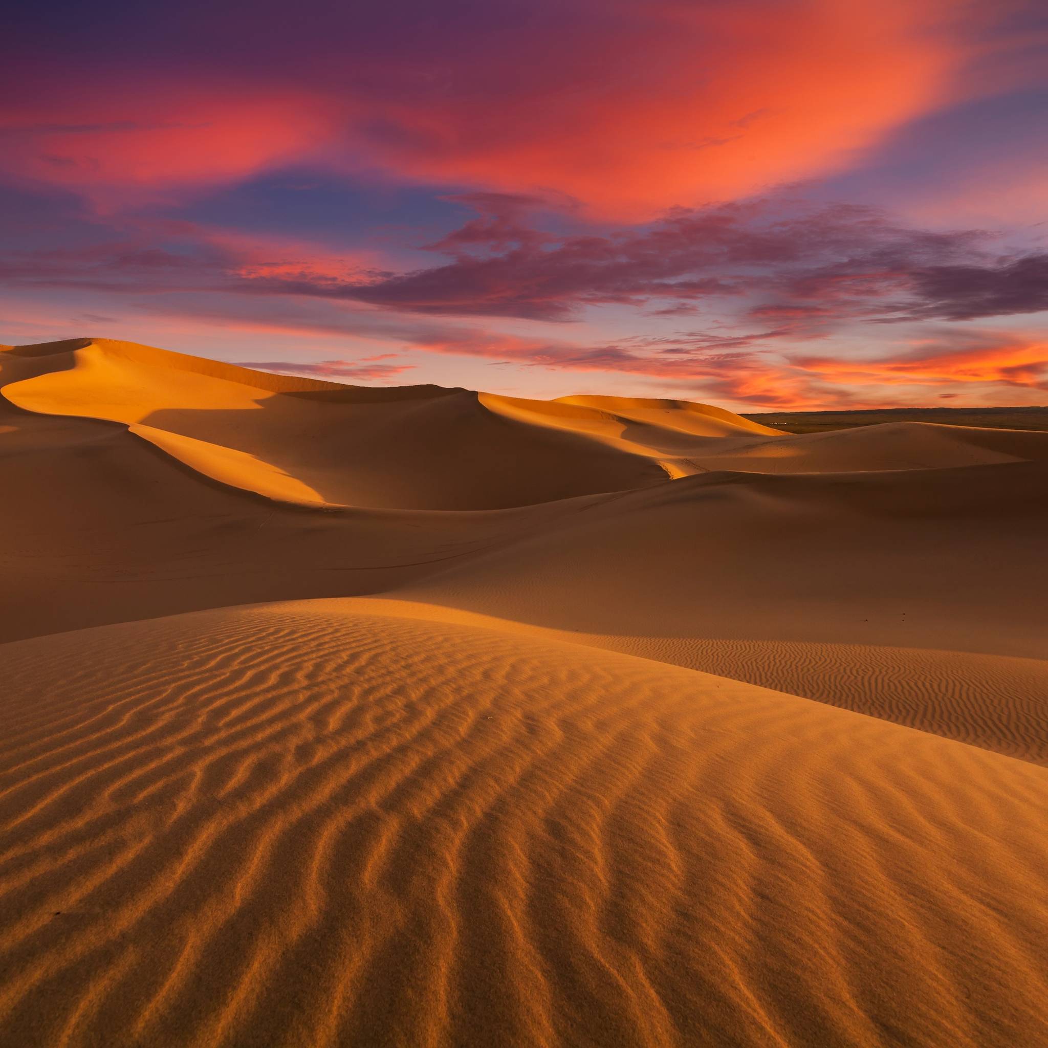 La magia dei palmeti e del deserto in Marocco