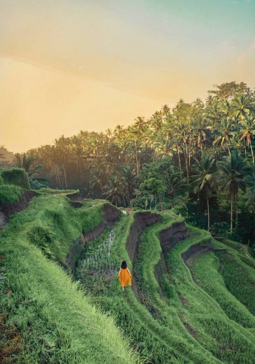 ubud