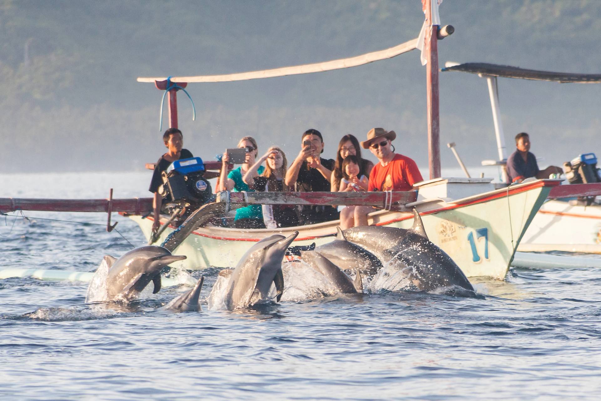 little boats with dolphins