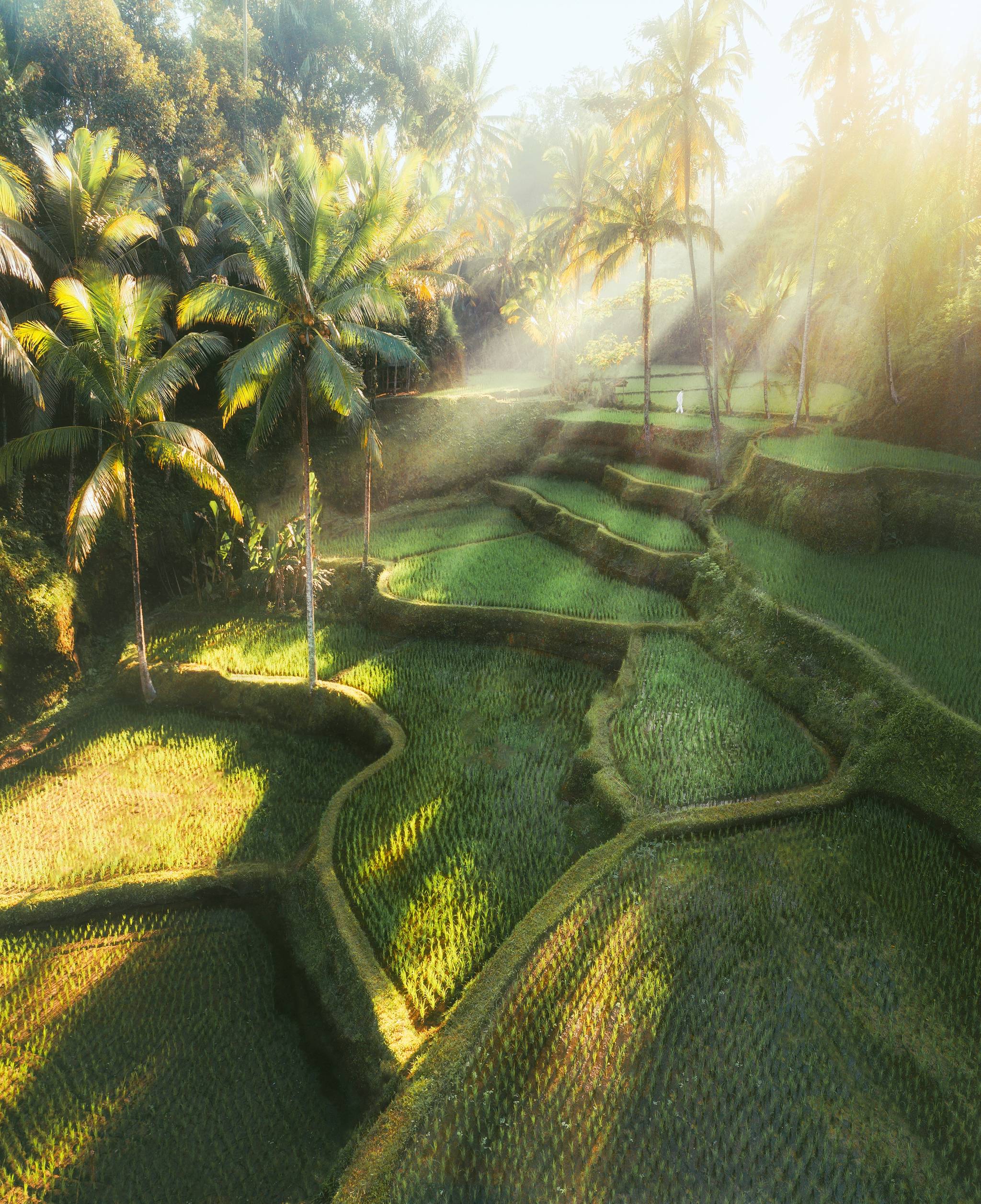 ubud