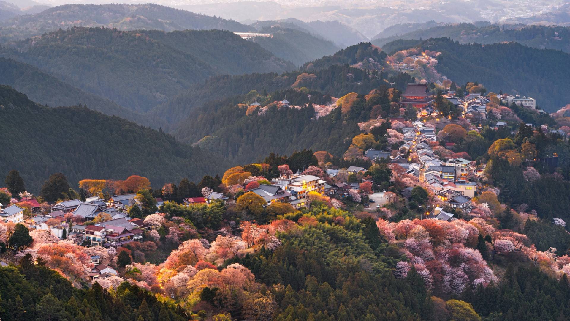 monte yoshino a nara