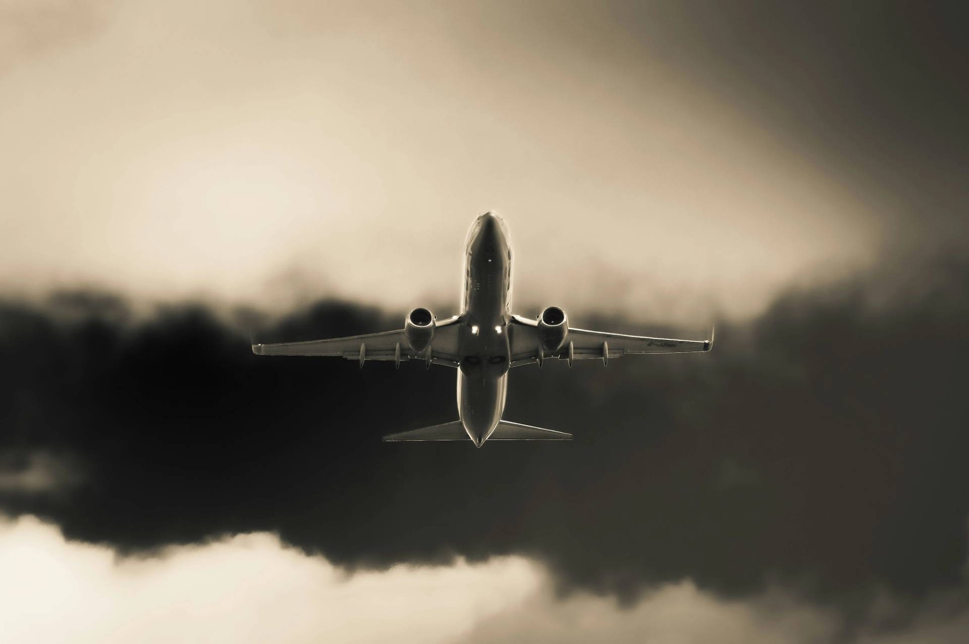 aereo