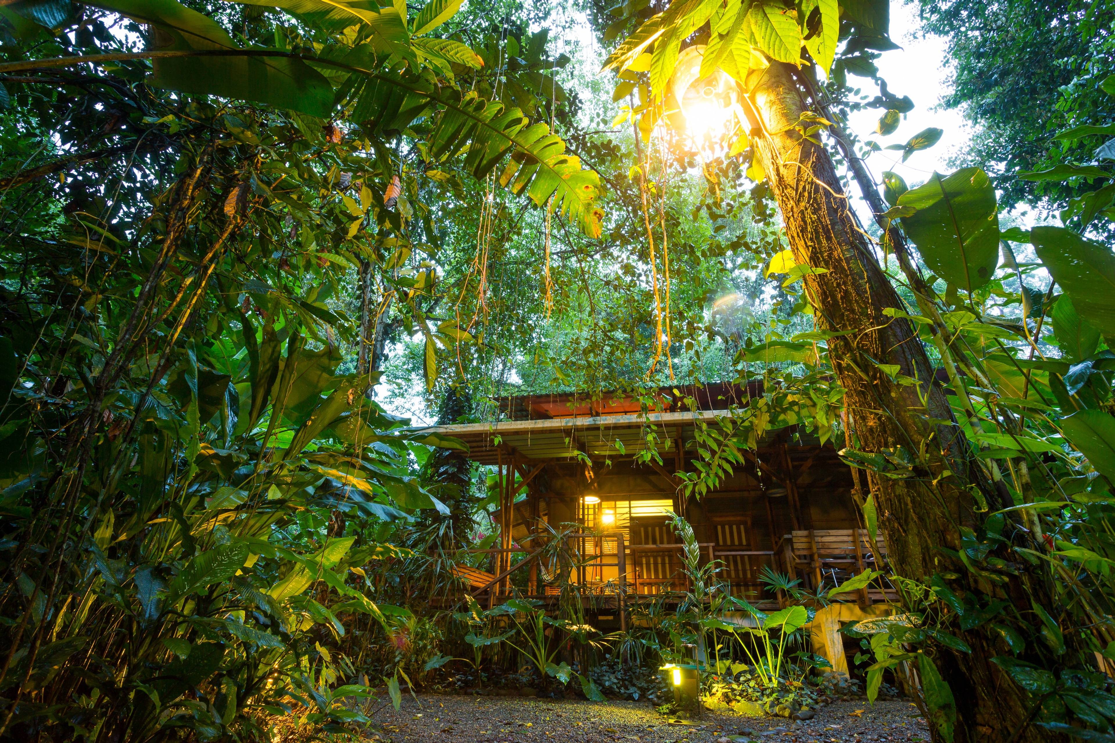 Casa immersa nella foresta tropicale