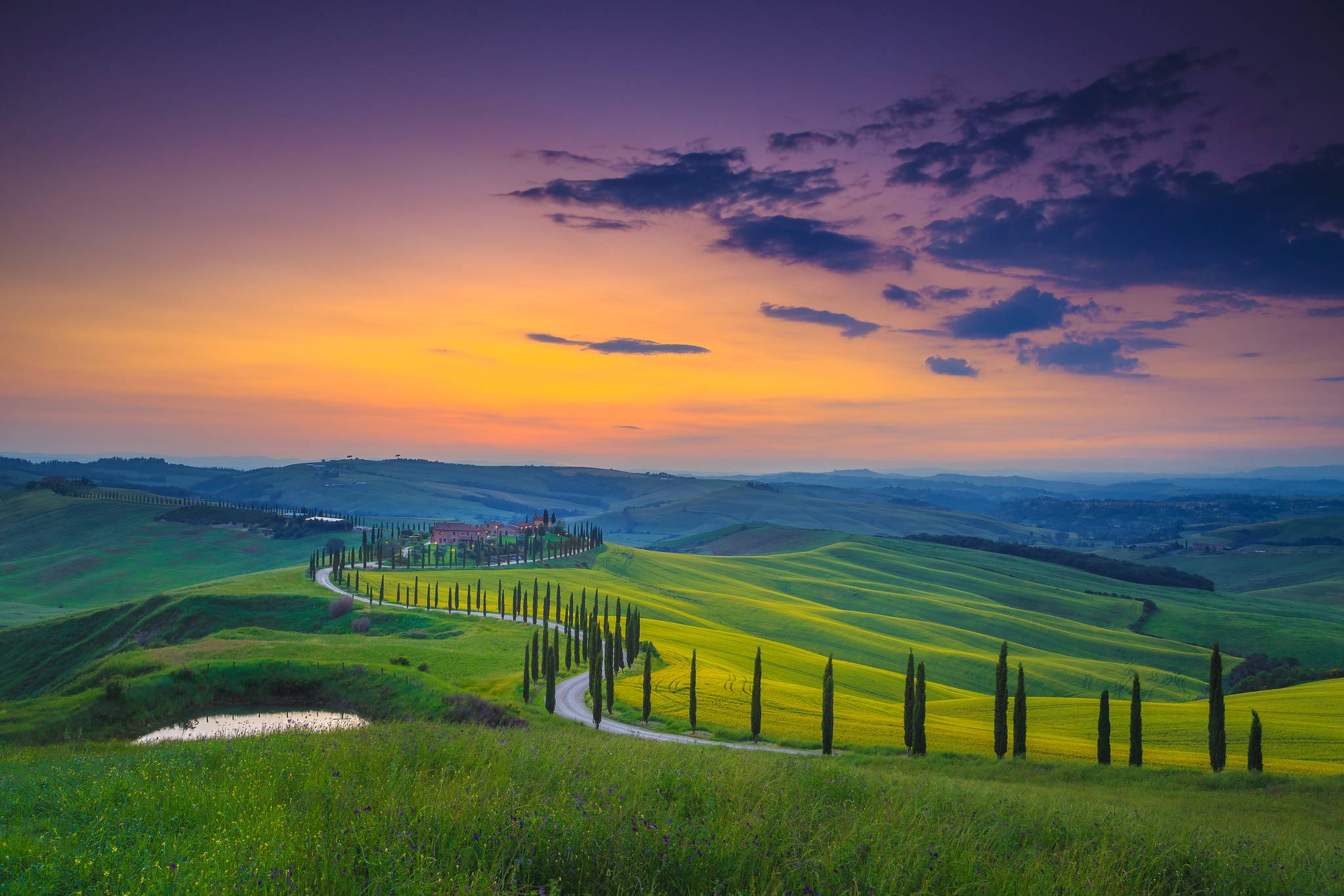 colline del chianti