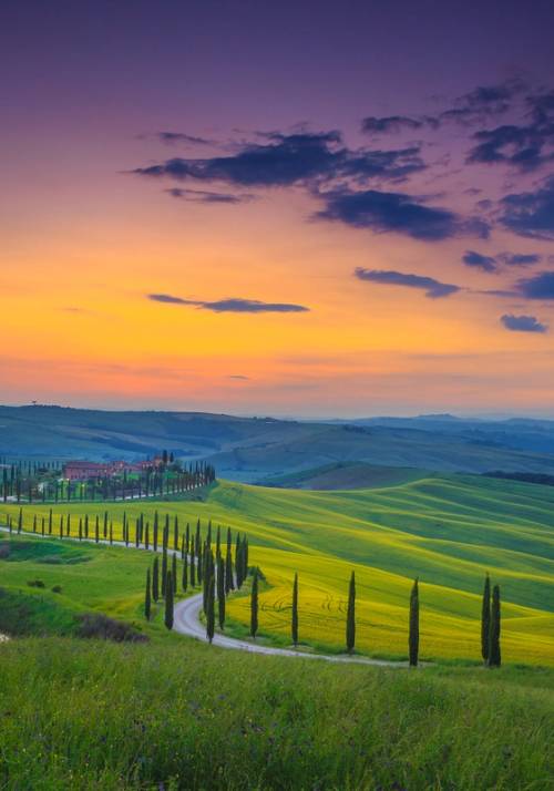 chianti hills