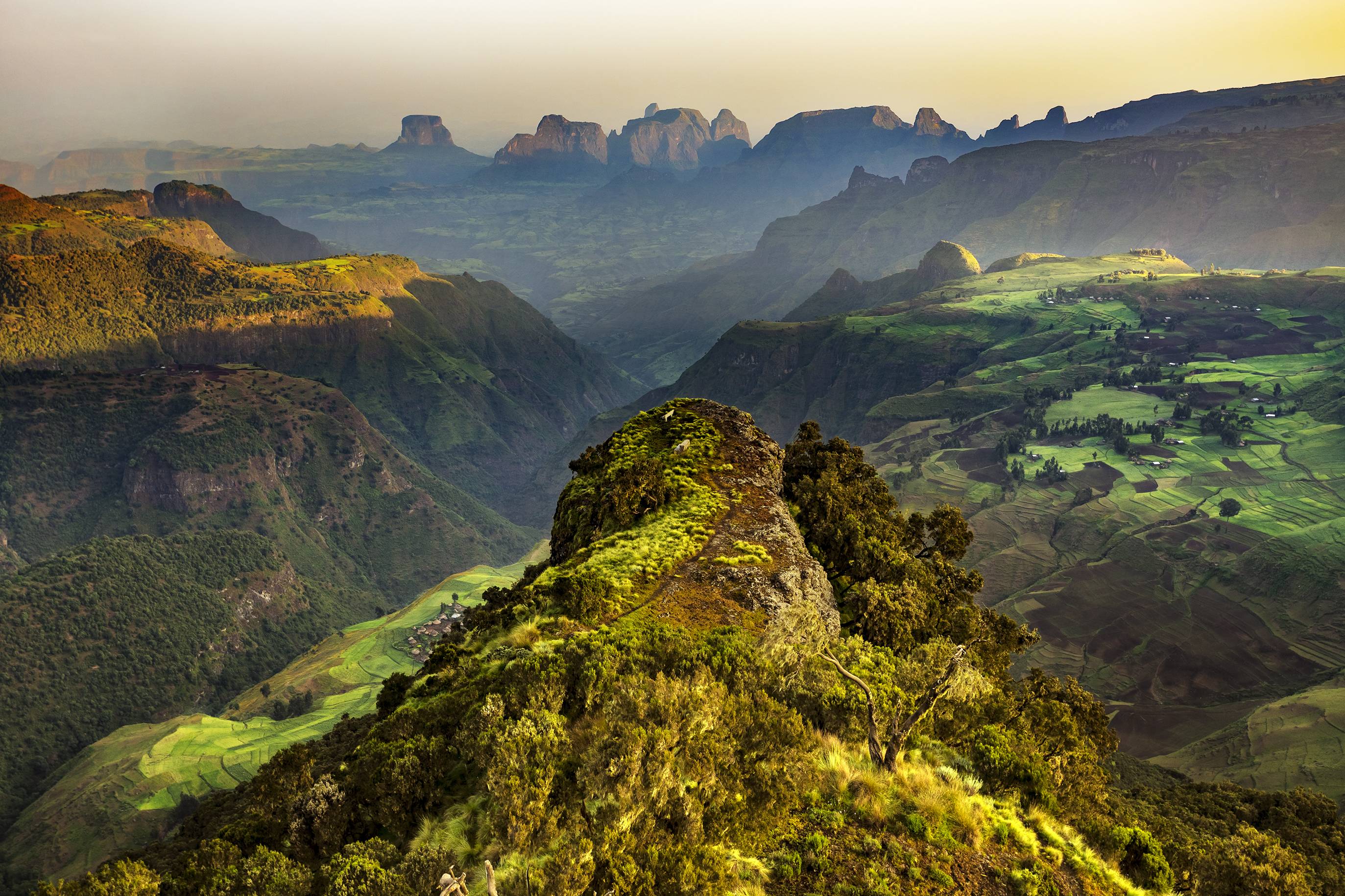 ethiopia bale mountains