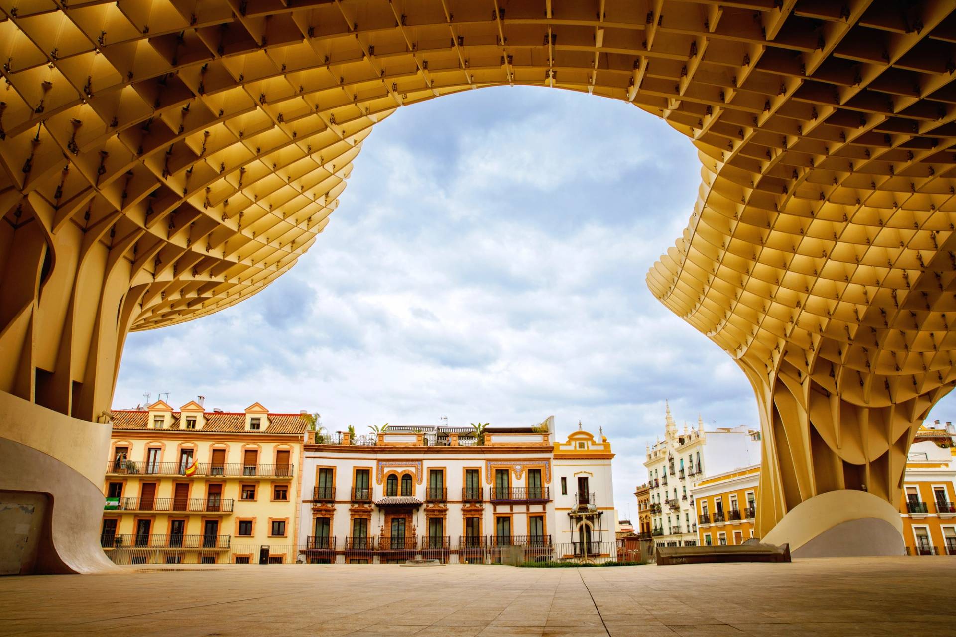 mushrooms from Seville