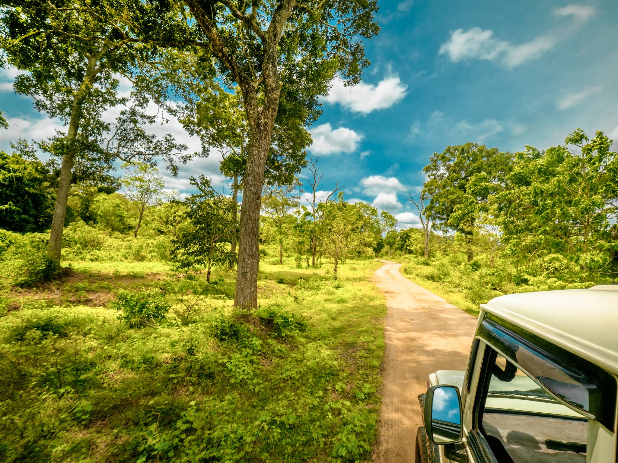 Gran tour dello Sri Lanka cover
