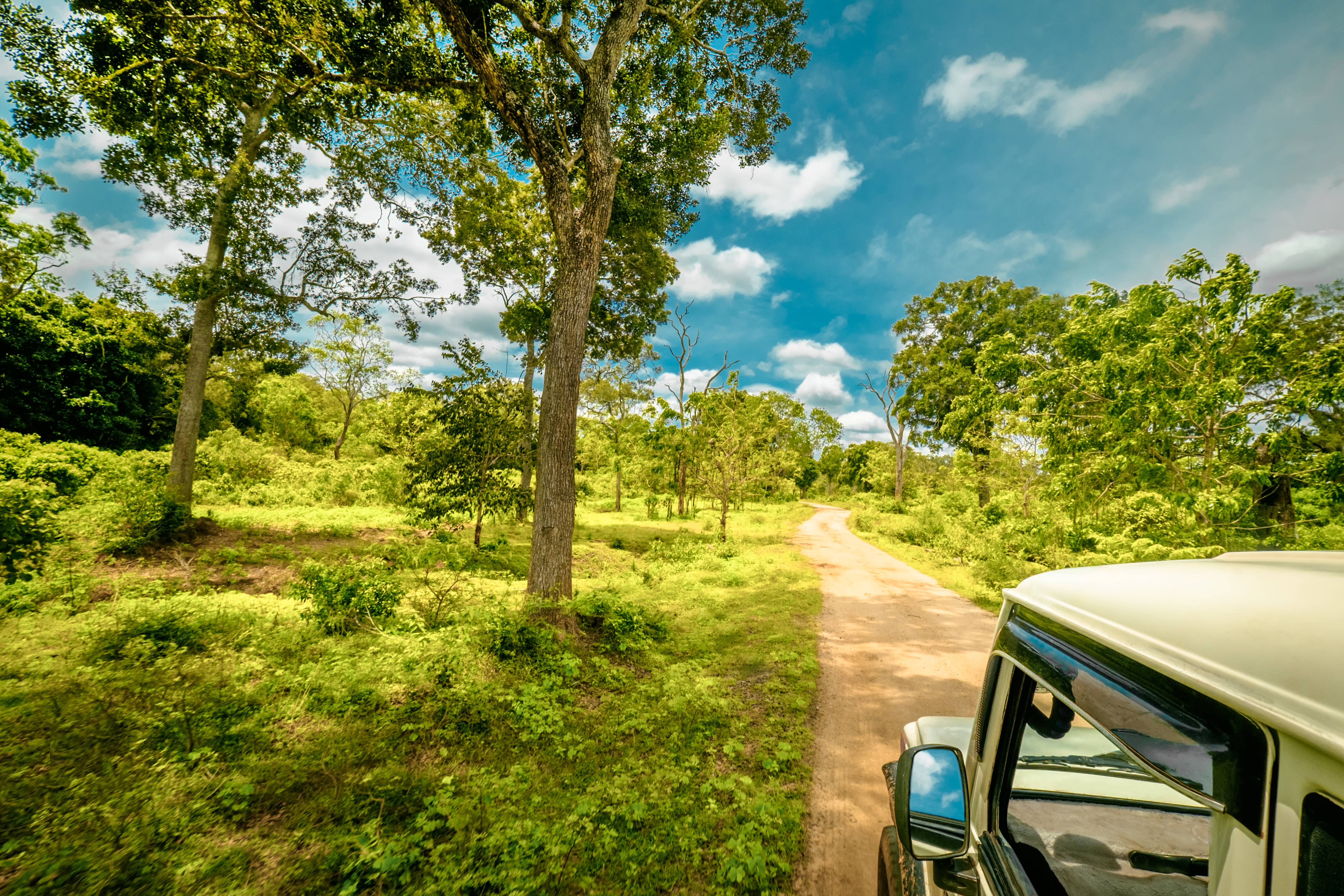 yala national park