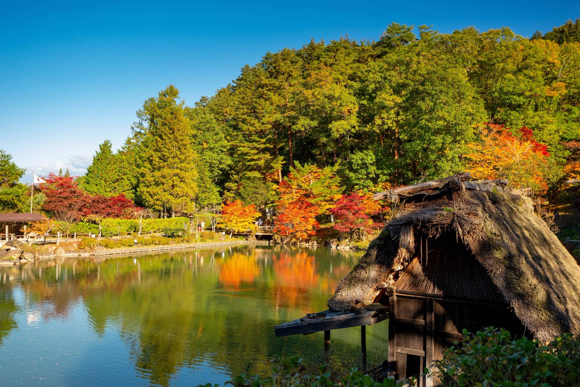 small pond