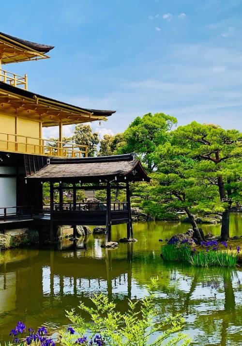 padiglione d oro kinkaku ji