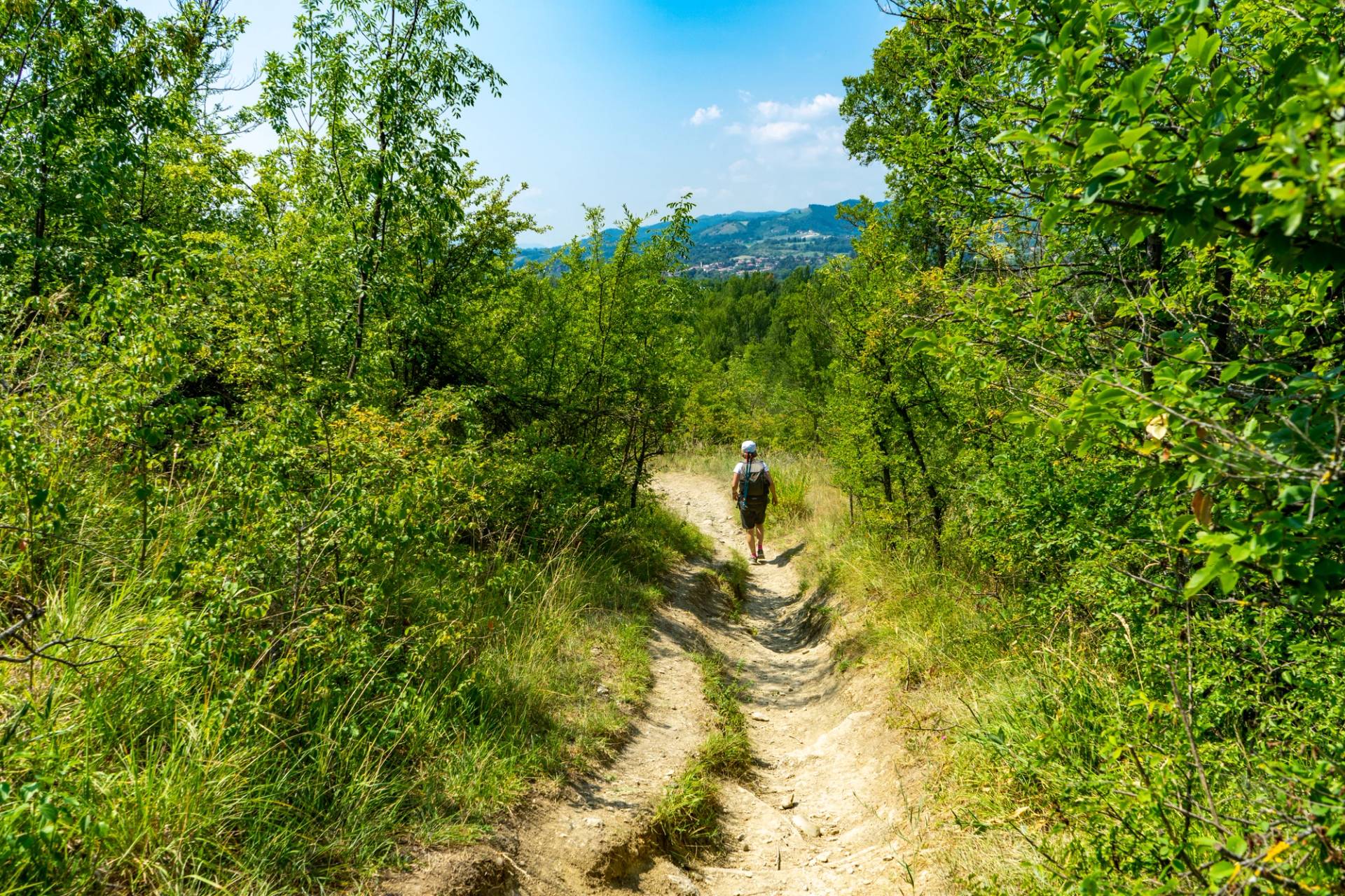 monte di fo