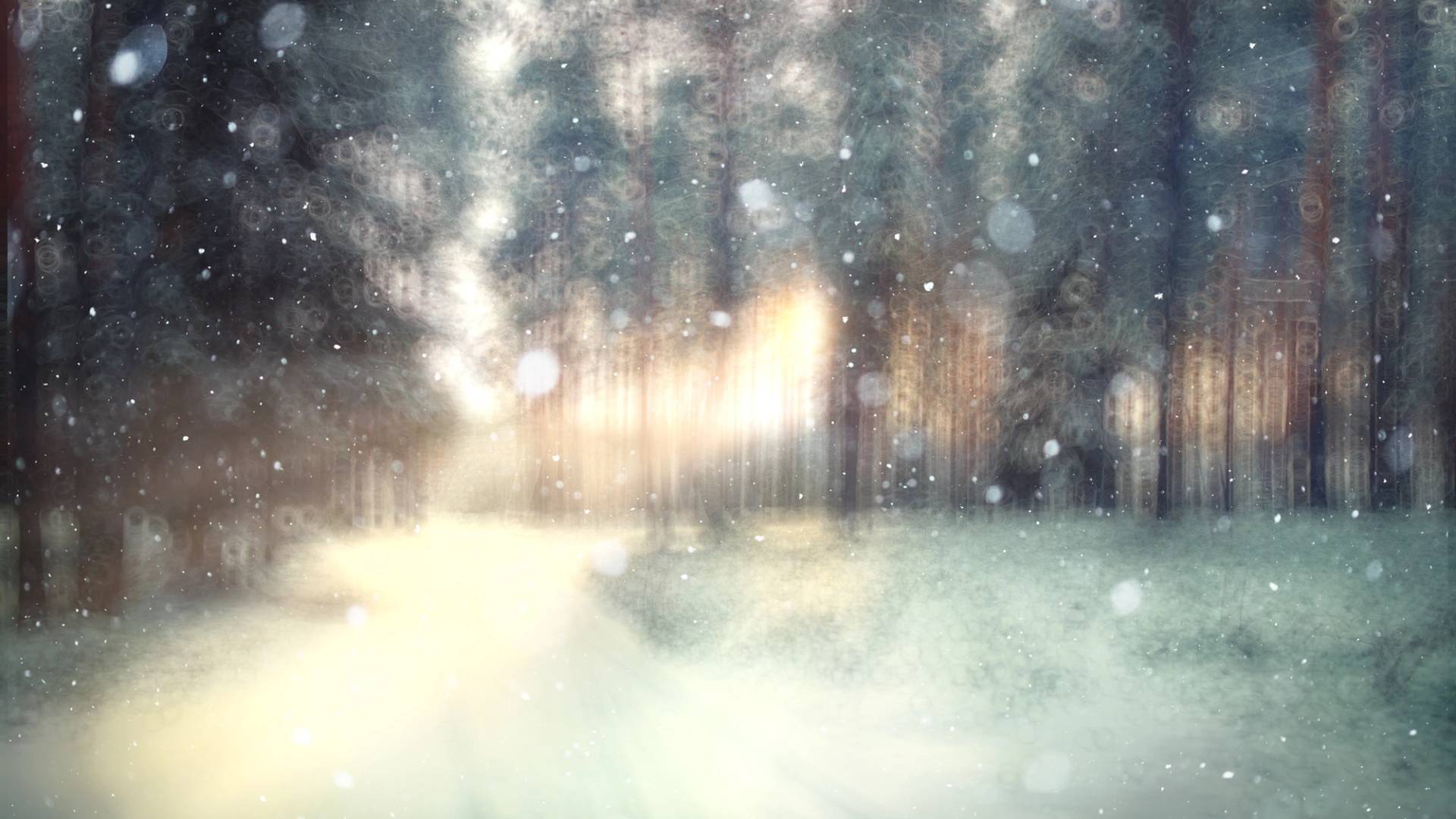 vacanze organizzate per l'inverno