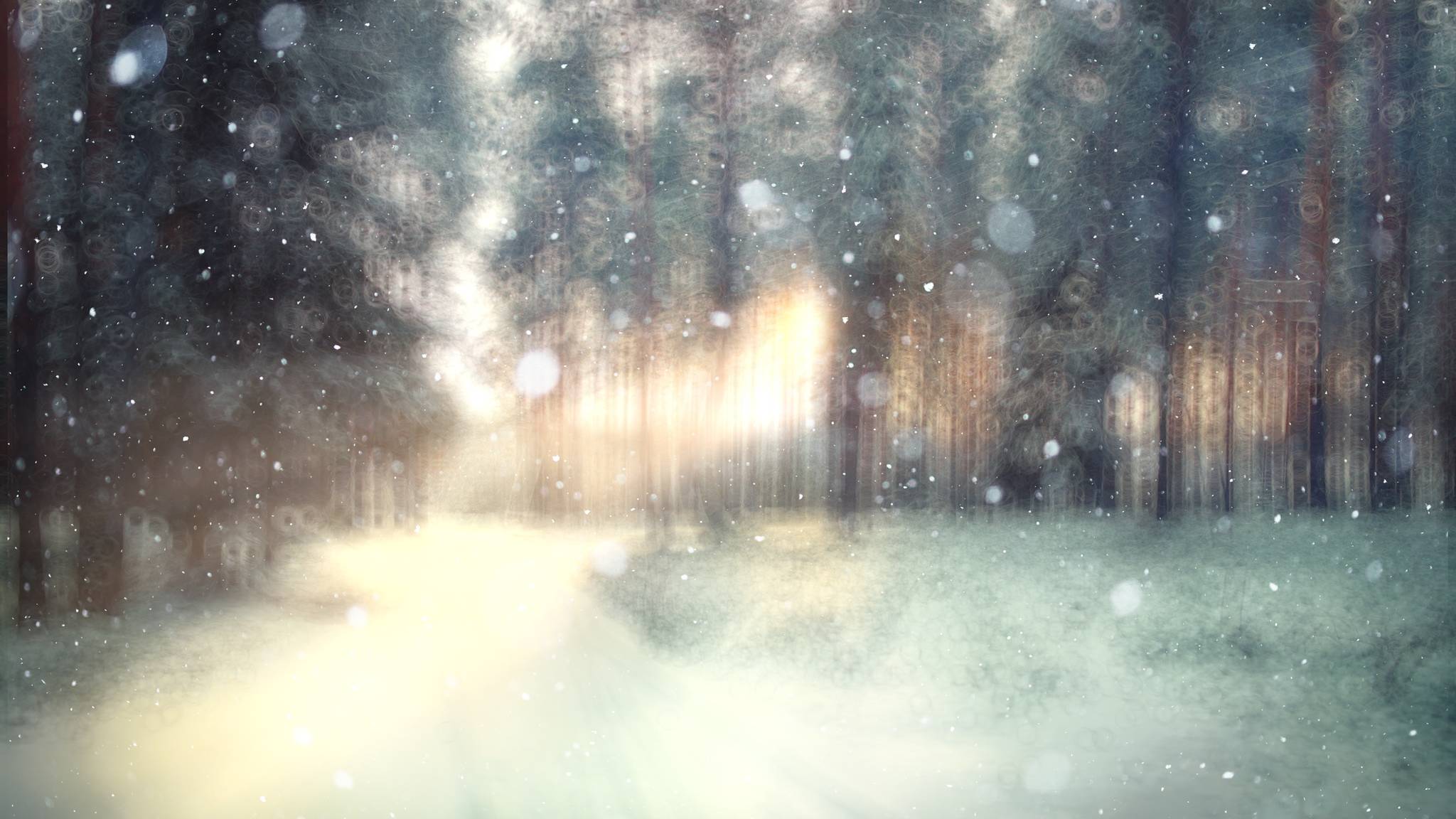 vacanze organizzate per l'inverno