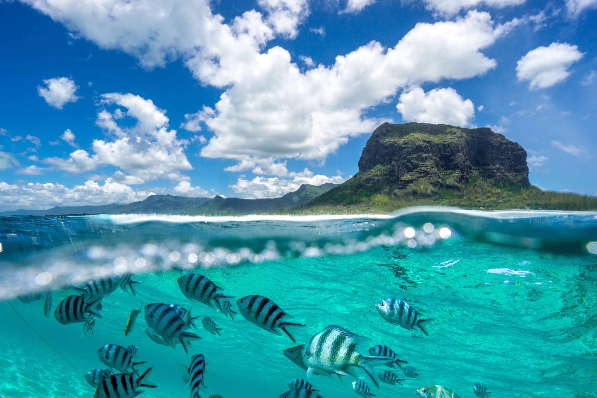 mare con i pesci alle mauritius