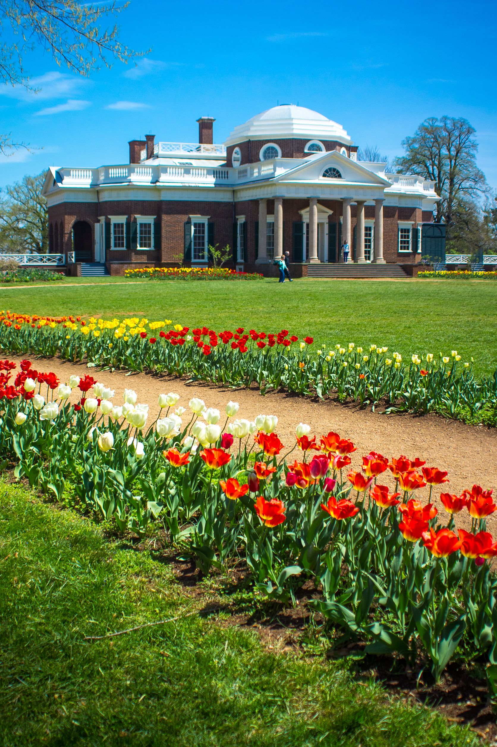 panorama di monticello
