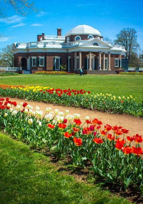 panorama di monticello