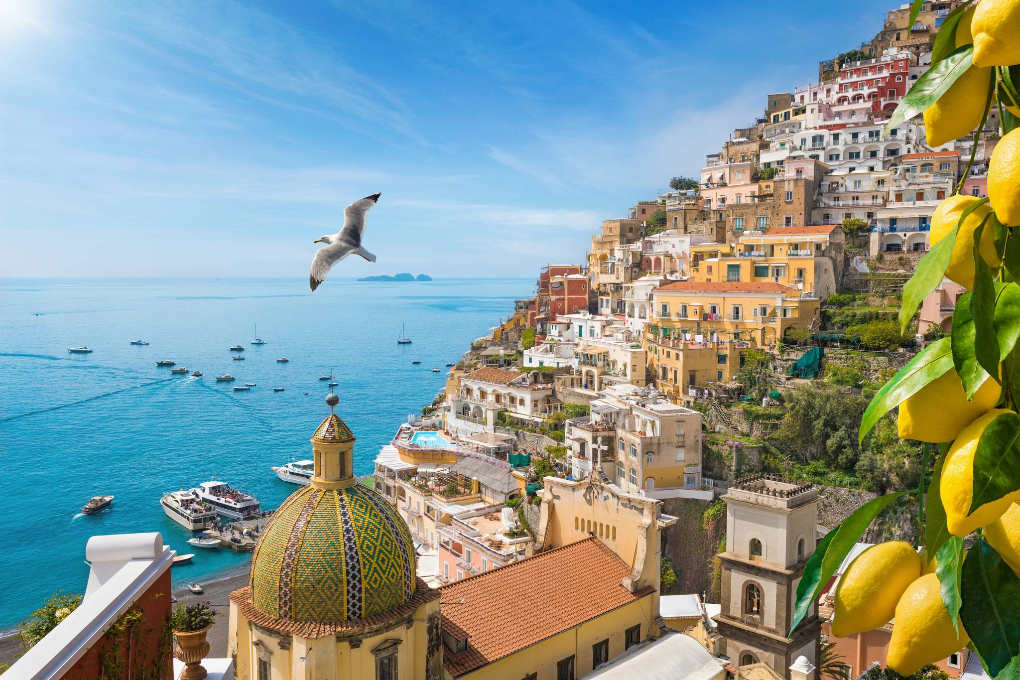 positano con gabbiano