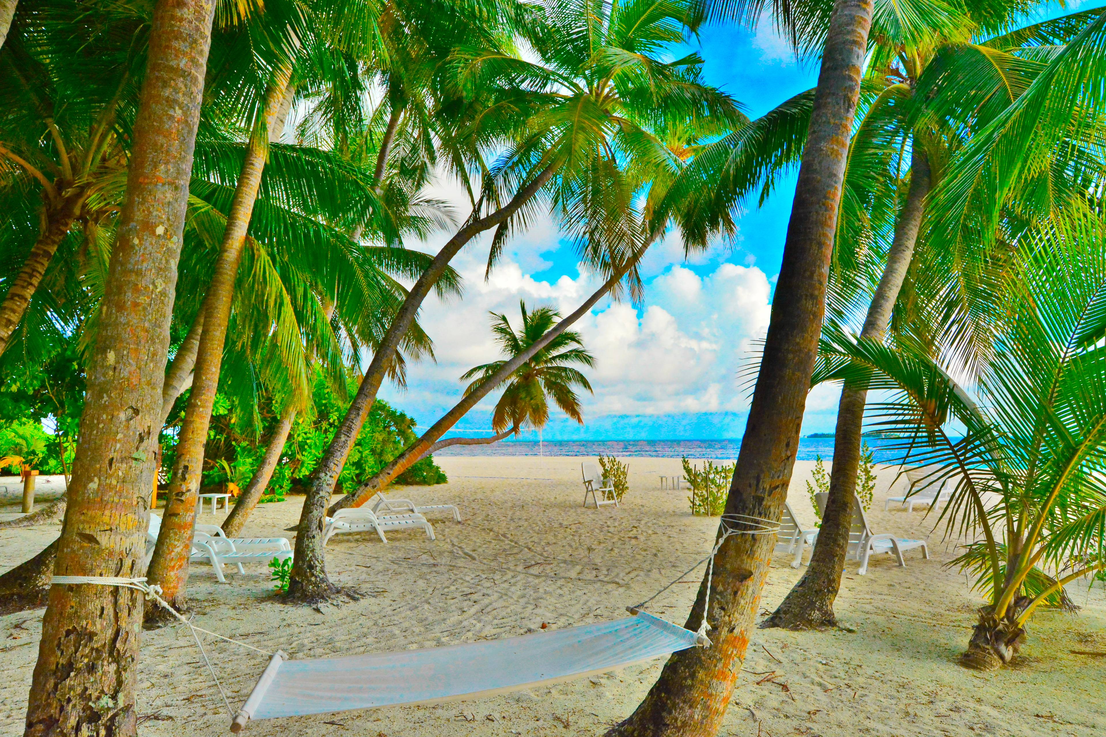 spiaggia con palme e amaca alle maldive