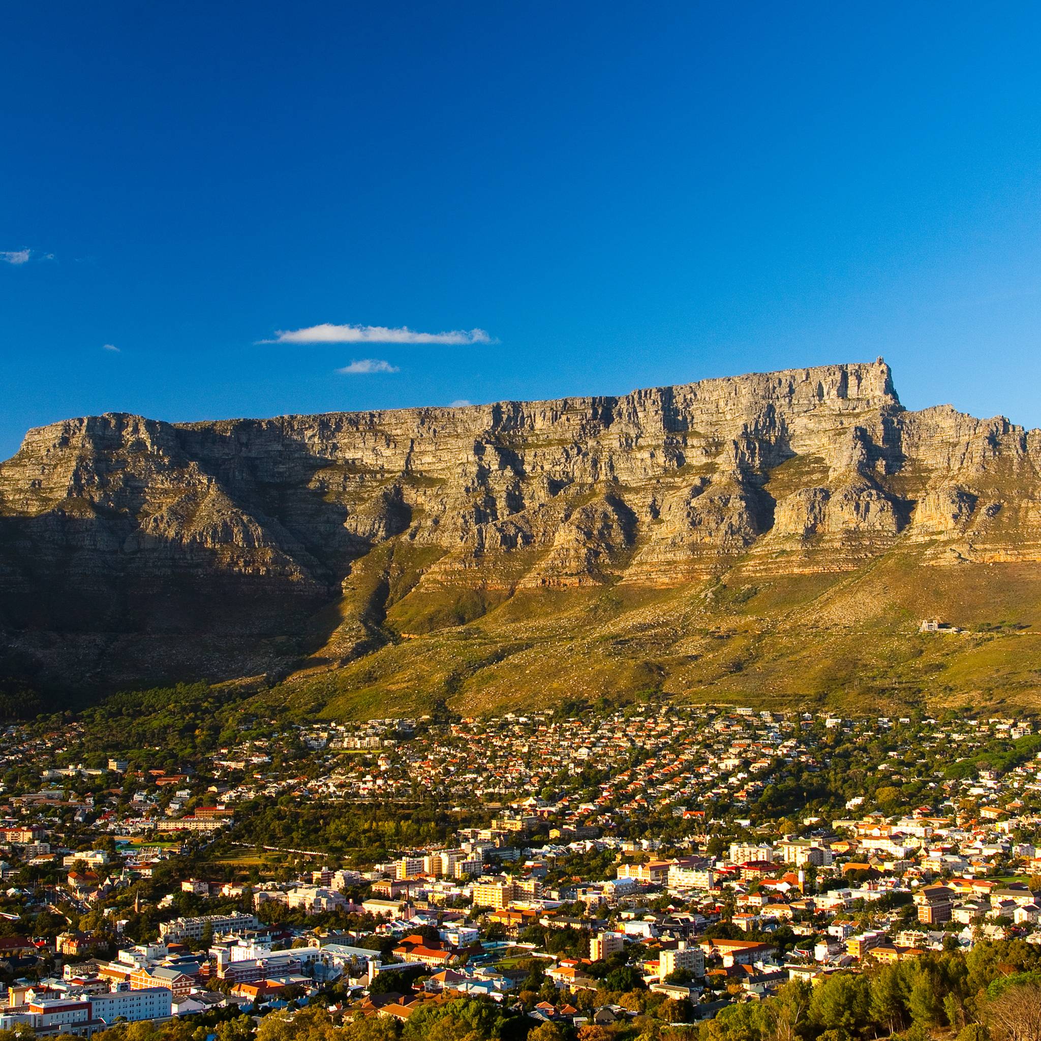 Sudafrica explorer