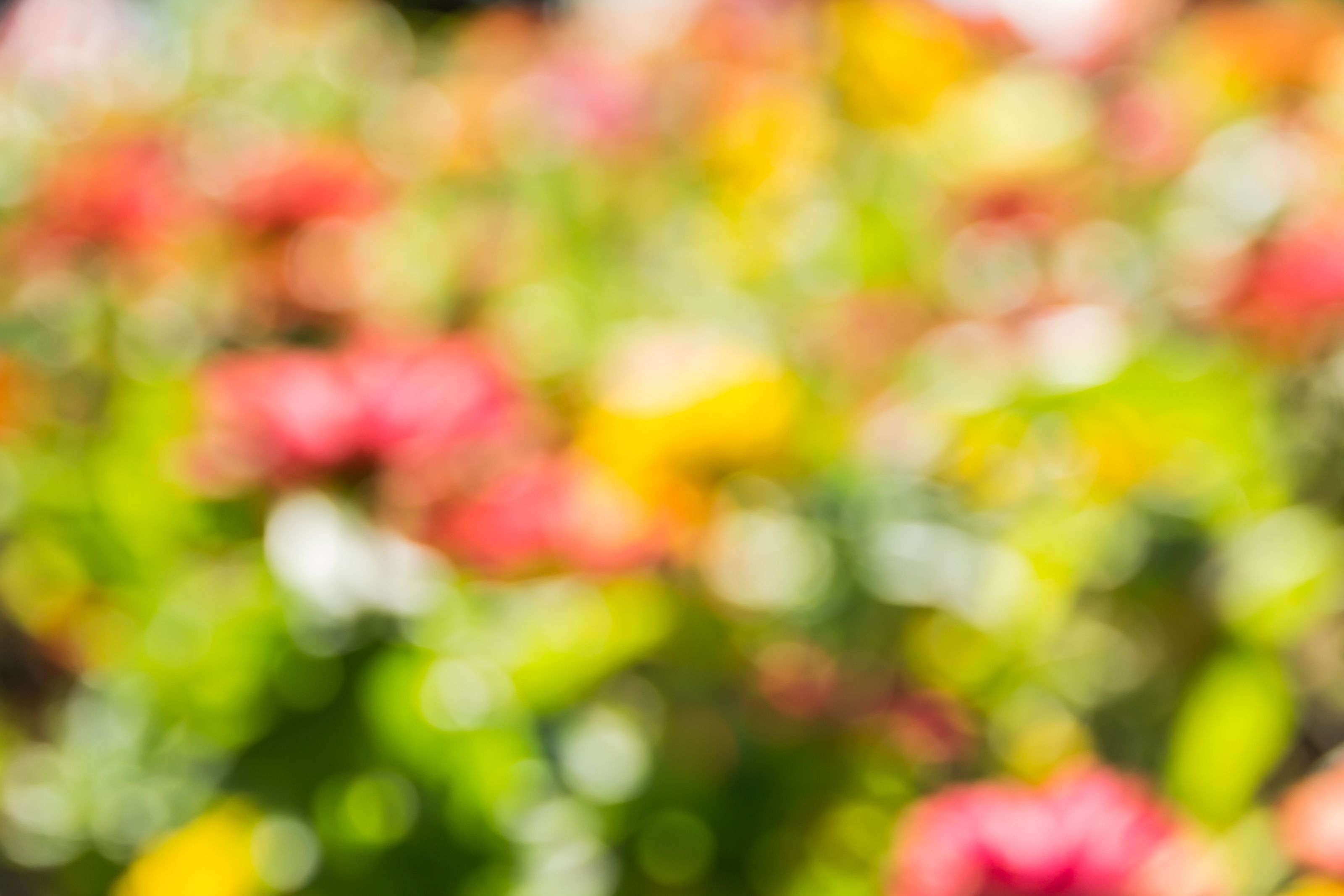 viaggi organizzati in primavera