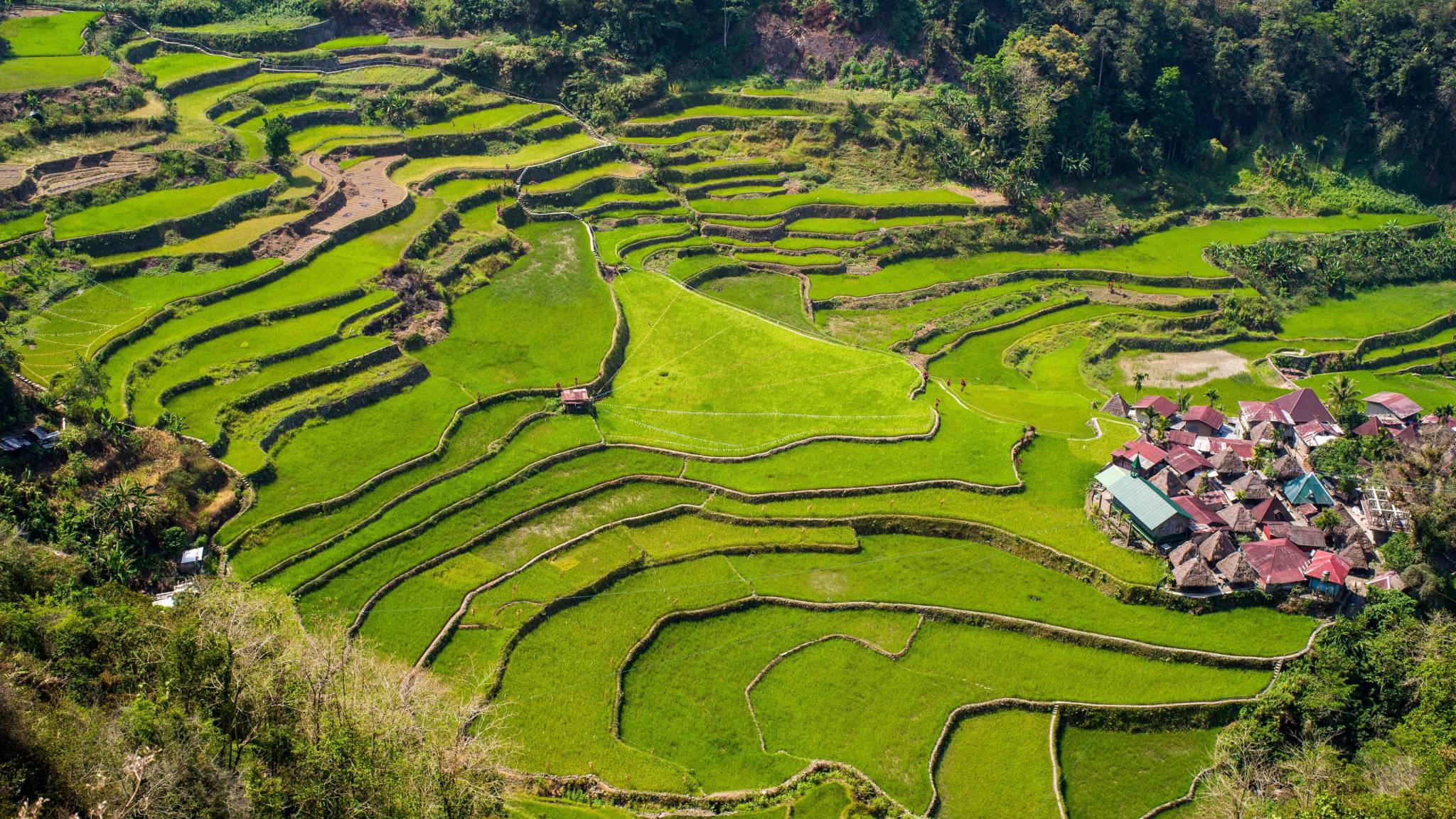 banaue