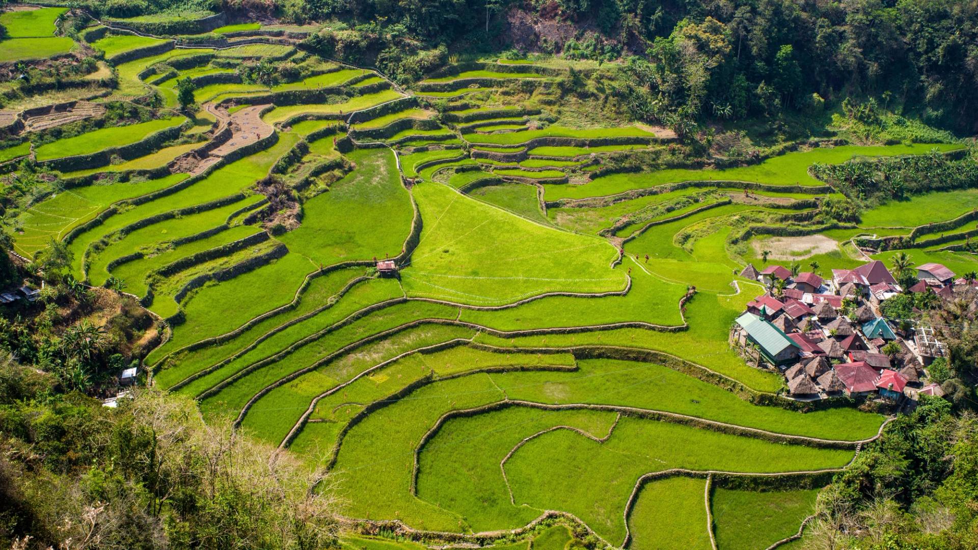 banaue