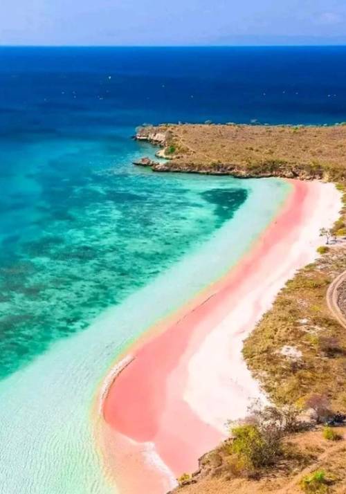 pink sand beach in Lombok