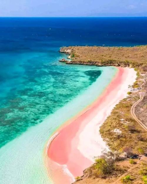spiaggia di sabbia rosa a lombok