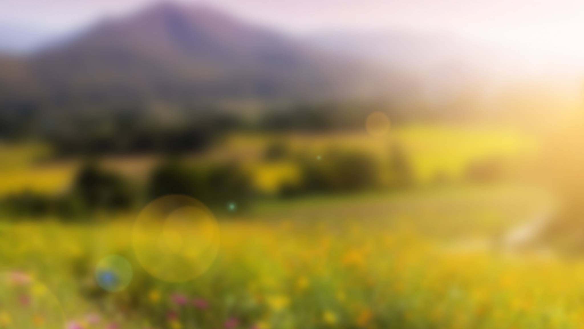 viaggi organizzati per aprile