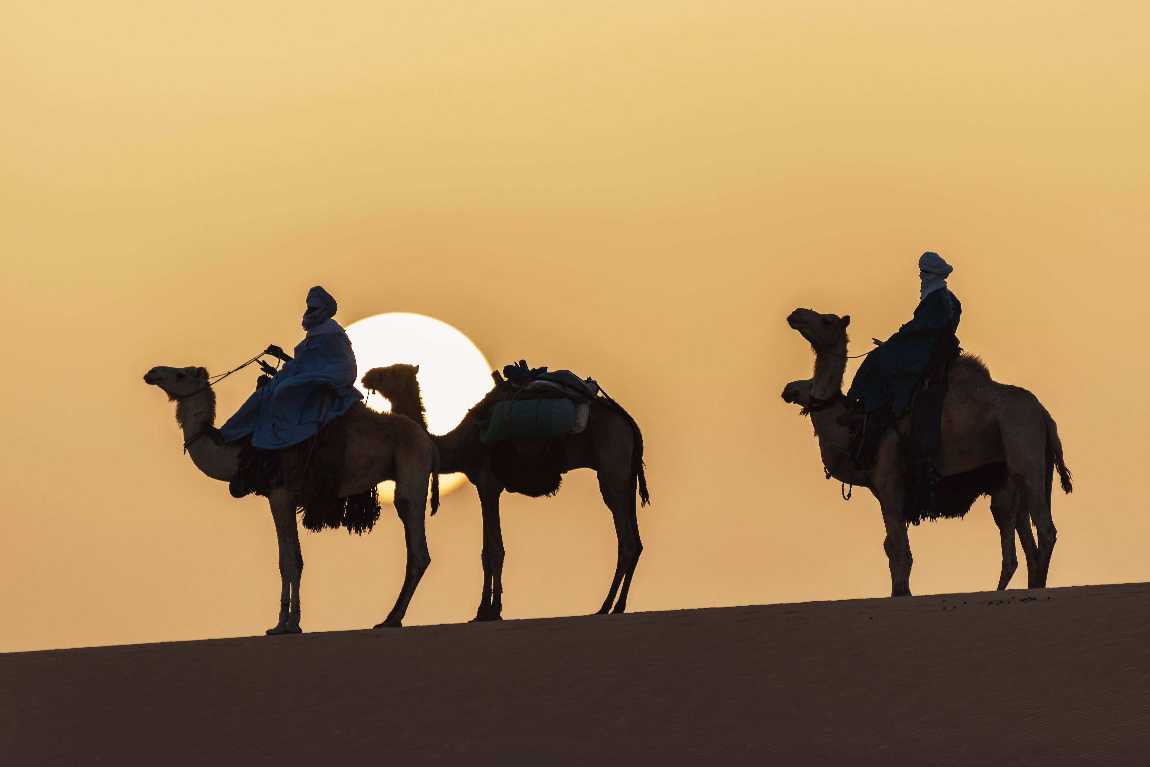 beduini a cammello