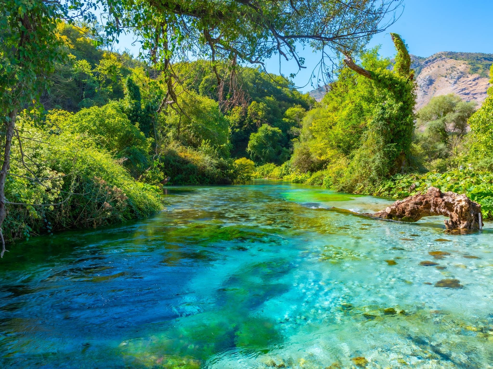 Tesori d'Albania e Ocrida cover
