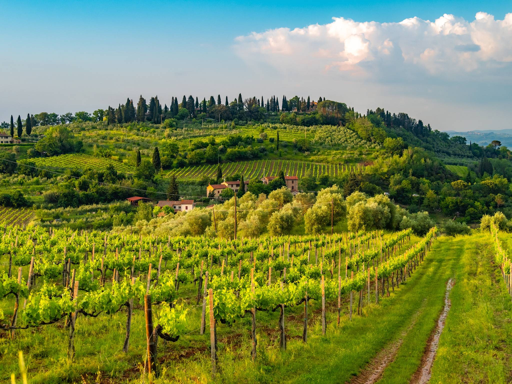 Wine tasting in Tuscany cover