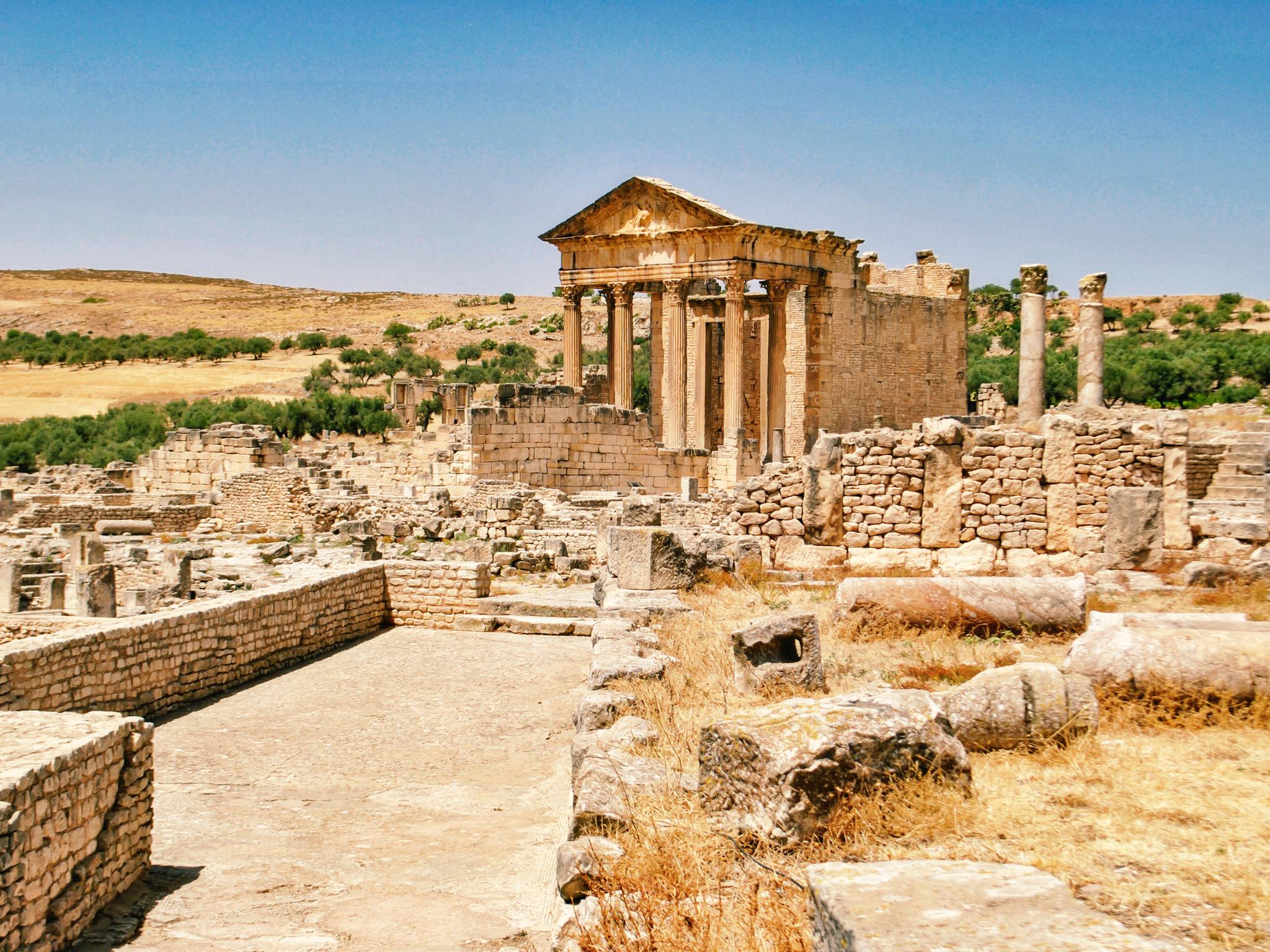 Tour della Tunisia cover