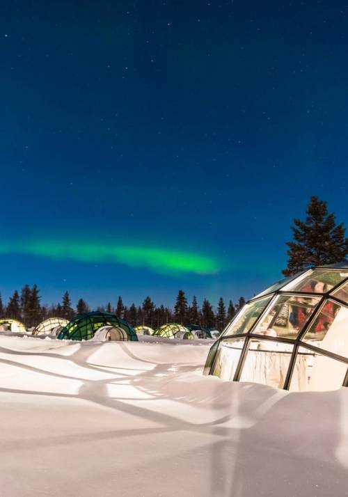 slitta con renne in un bosco innevato