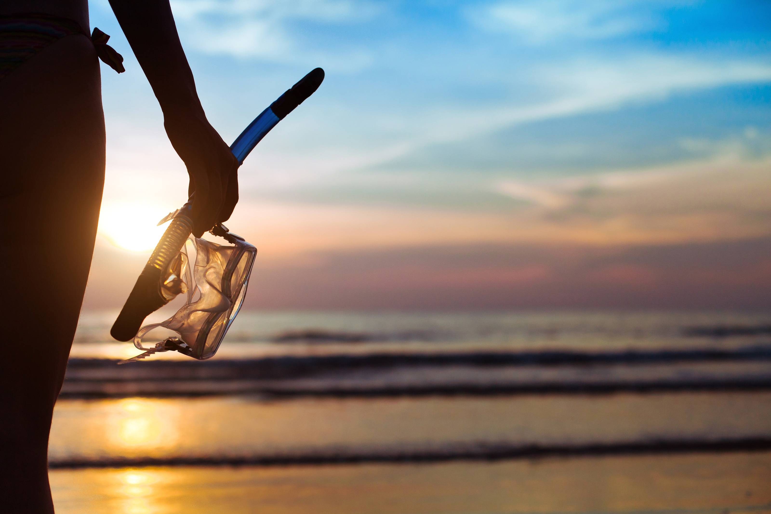 organized snorkeling and diving tours