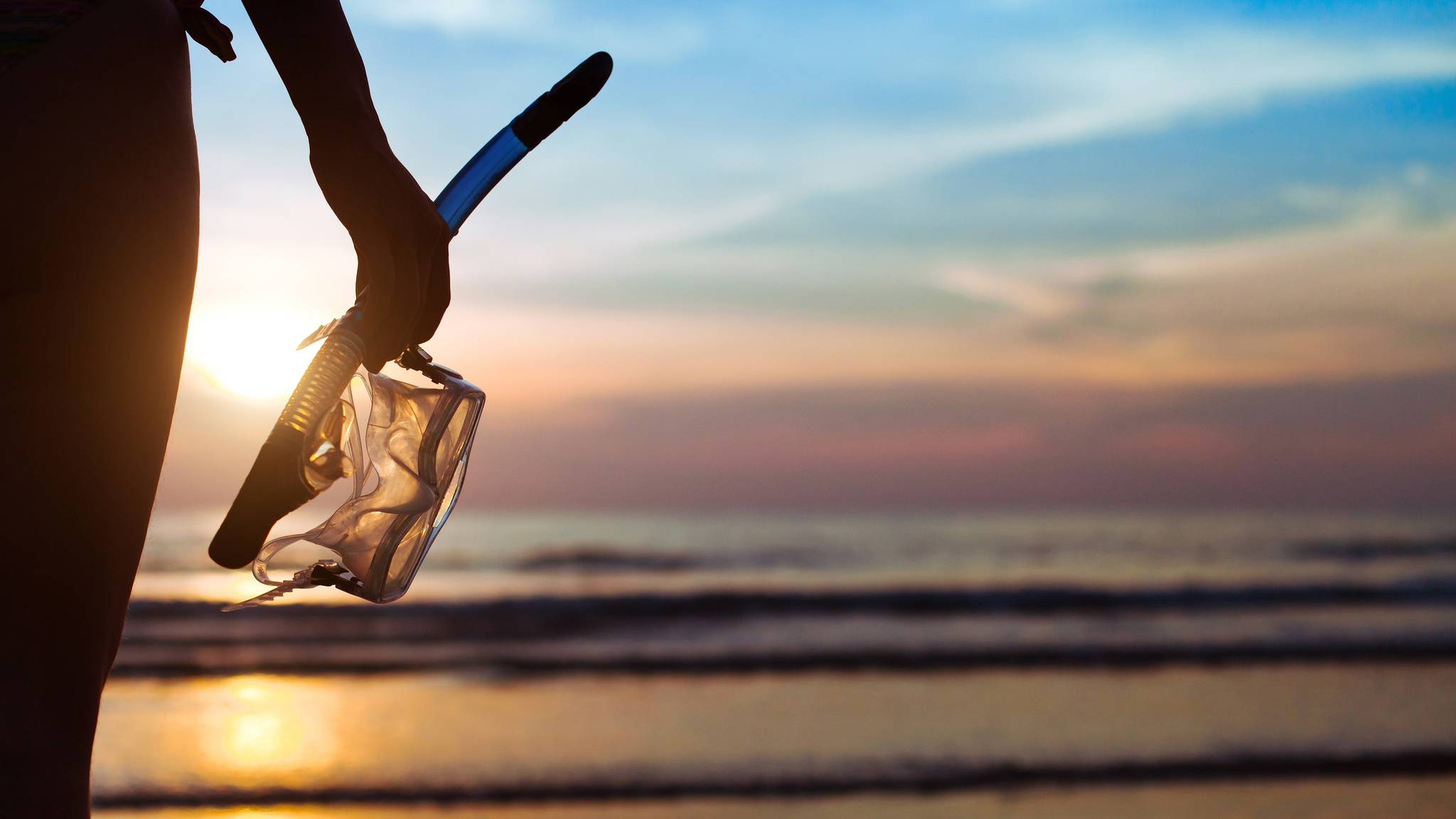 organized snorkeling and diving tours