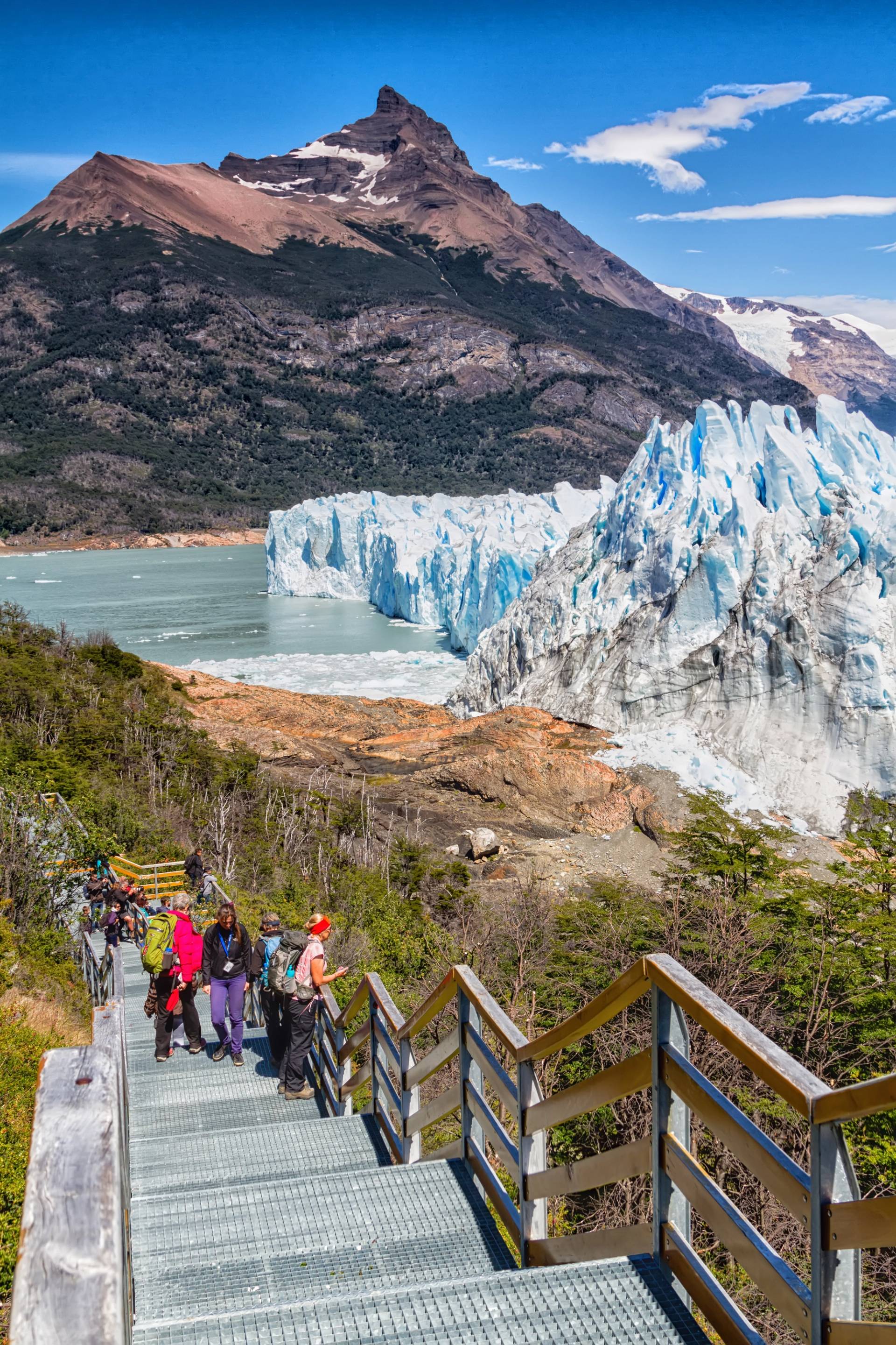 the calafate